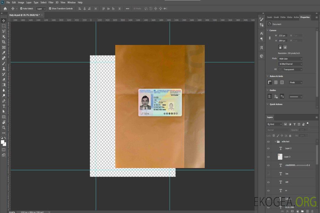 Photolook d'identité des Pays-Bas AVANT template Photolook d'identité des Pays-Bas AVANT template